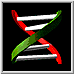 BioMedNet logo