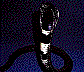 cobra3.jpg